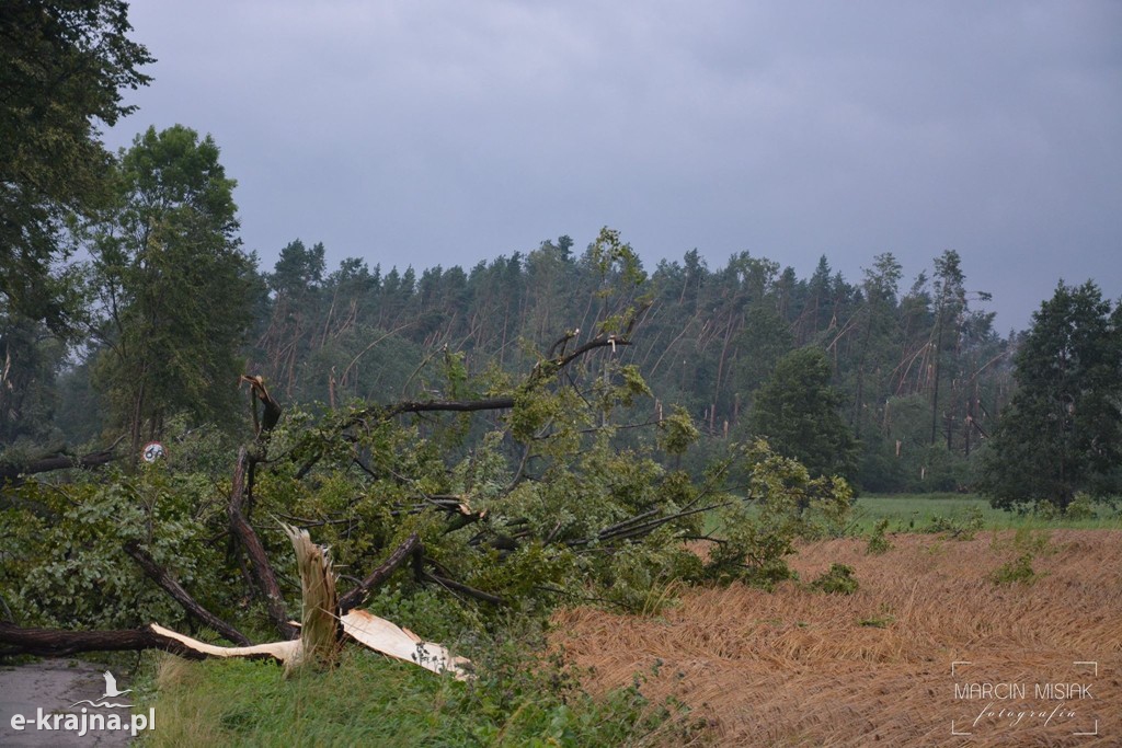 Ogromne zniszczenia po piątkowej nawałnicy