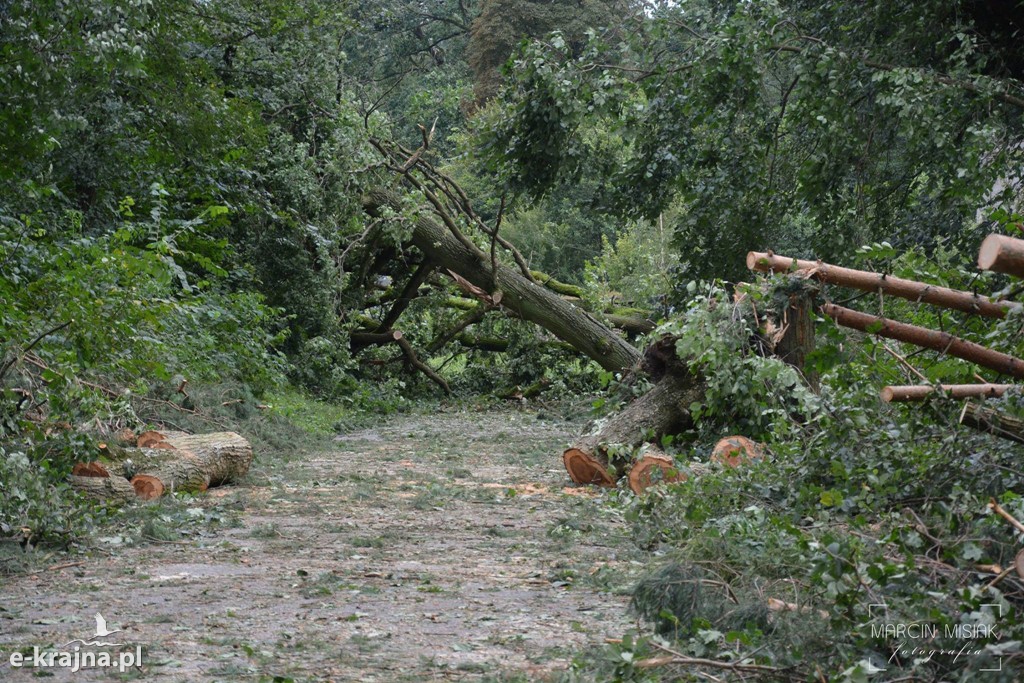 Ogromne zniszczenia po piątkowej nawałnicy
