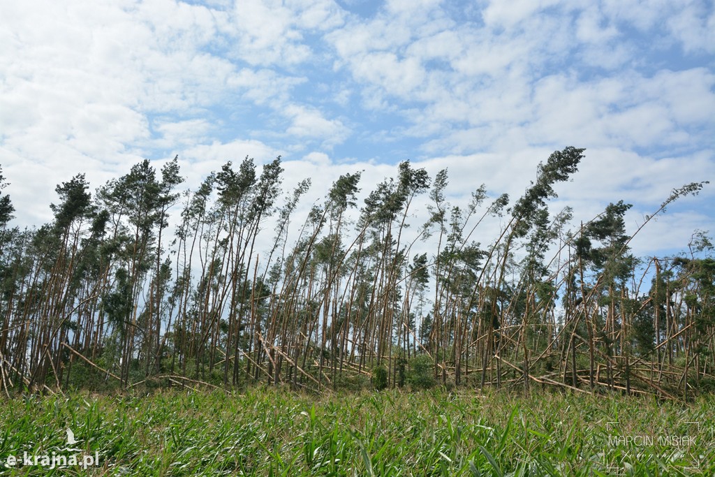 Kolejny dzień walki ze skutkami nawałnicy