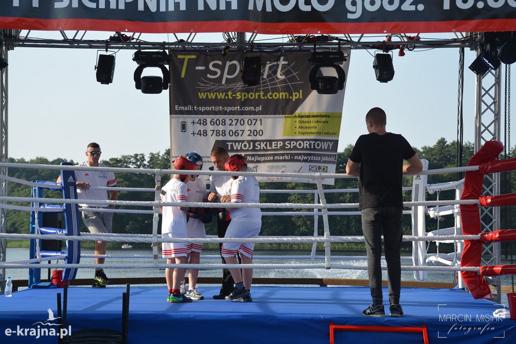 VI Sępoleński Boxing Show