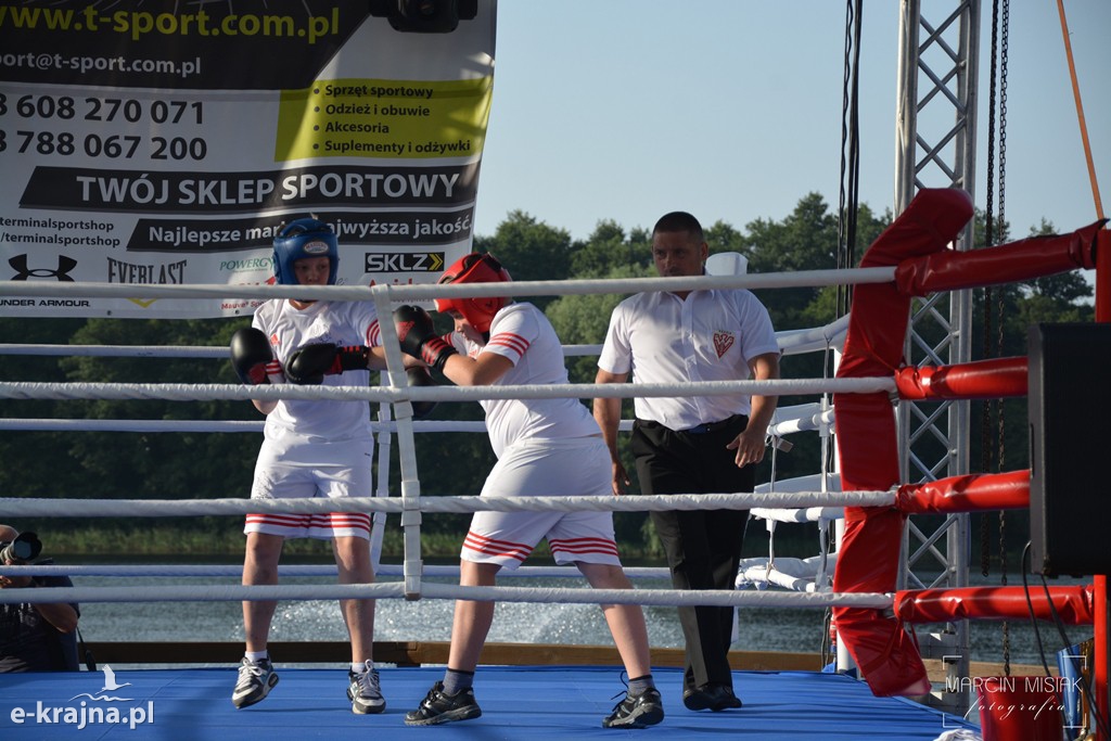 VI Sępoleński Boxing Show