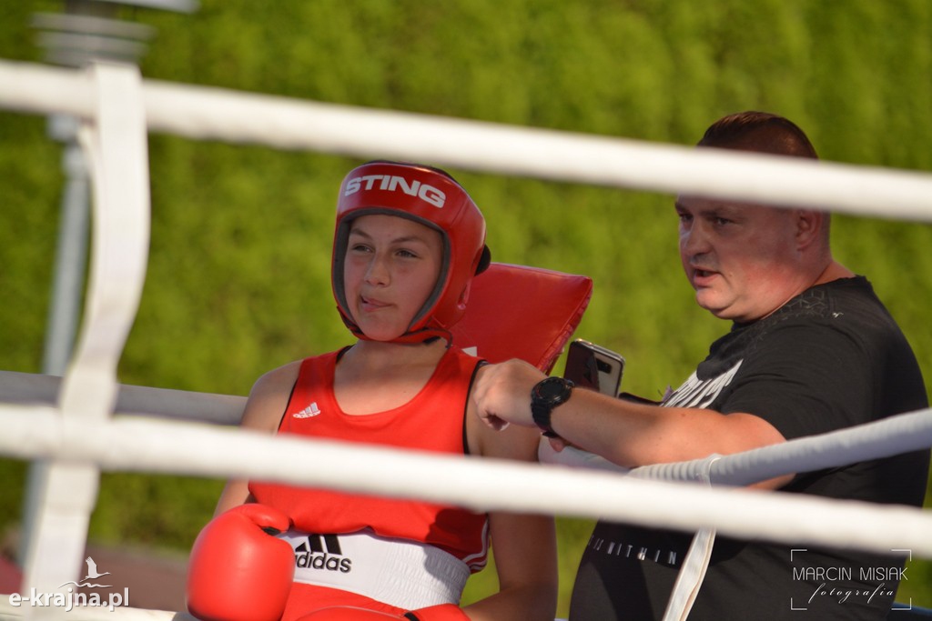 VI Sępoleński Boxing Show