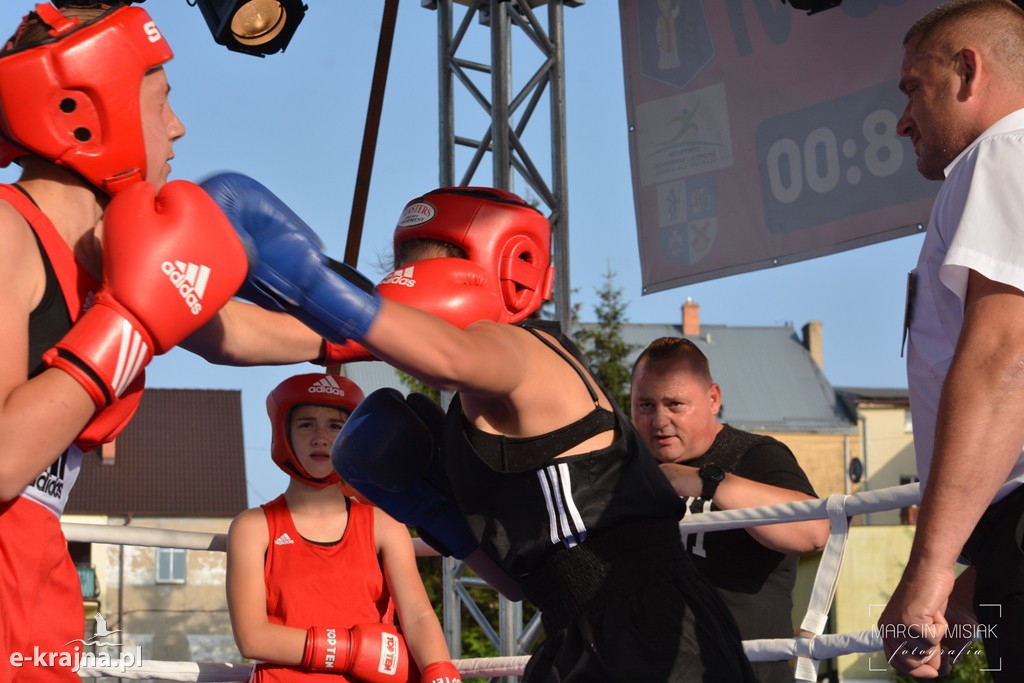 VI Sępoleński Boxing Show