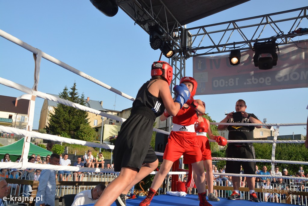 VI Sępoleński Boxing Show