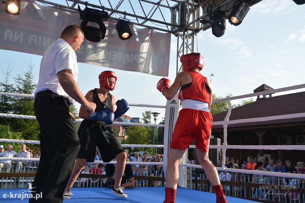 VI Sępoleński Boxing Show