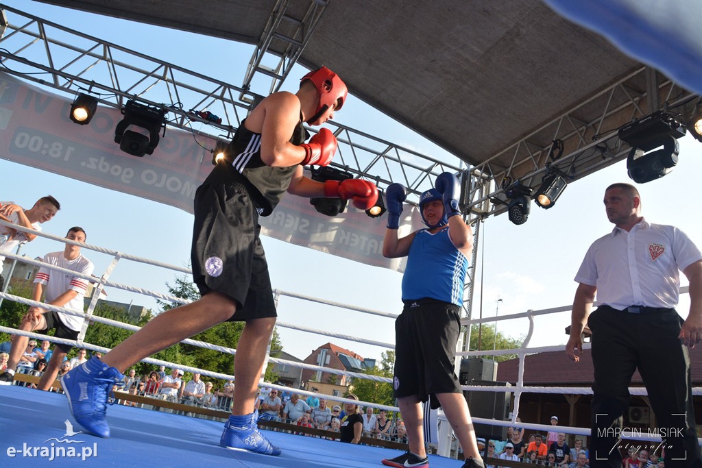 VI Sępoleński Boxing Show