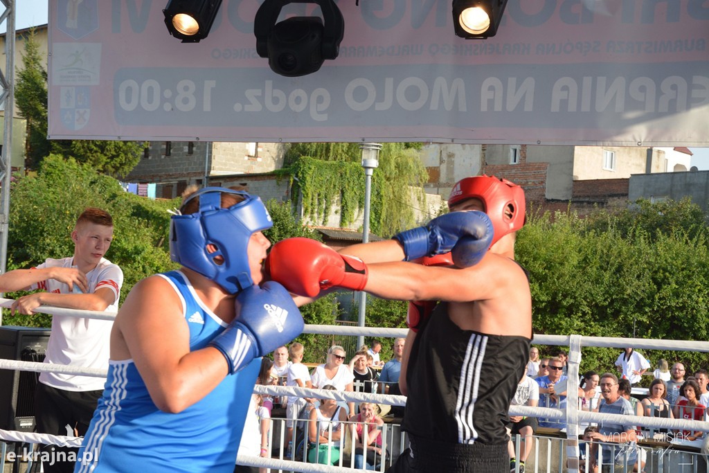 VI Sępoleński Boxing Show