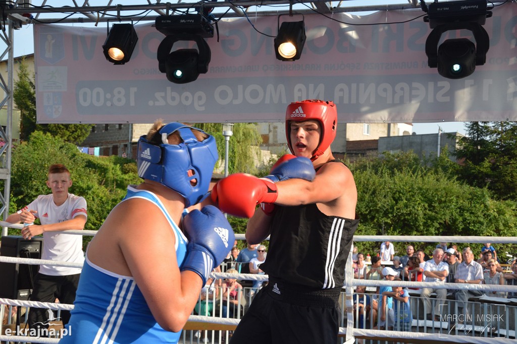 VI Sępoleński Boxing Show