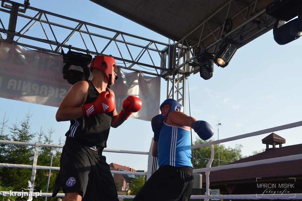 VI Sępoleński Boxing Show