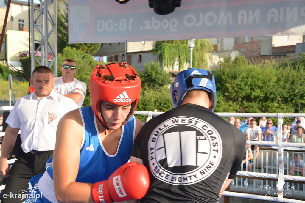 VI Sępoleński Boxing Show