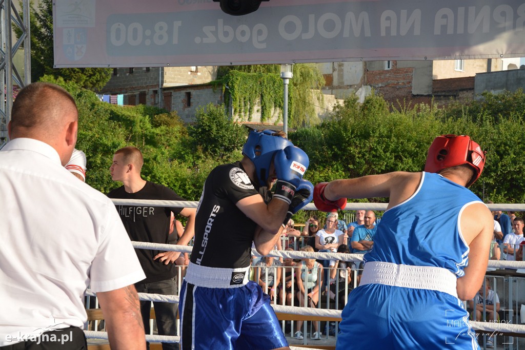 VI Sępoleński Boxing Show