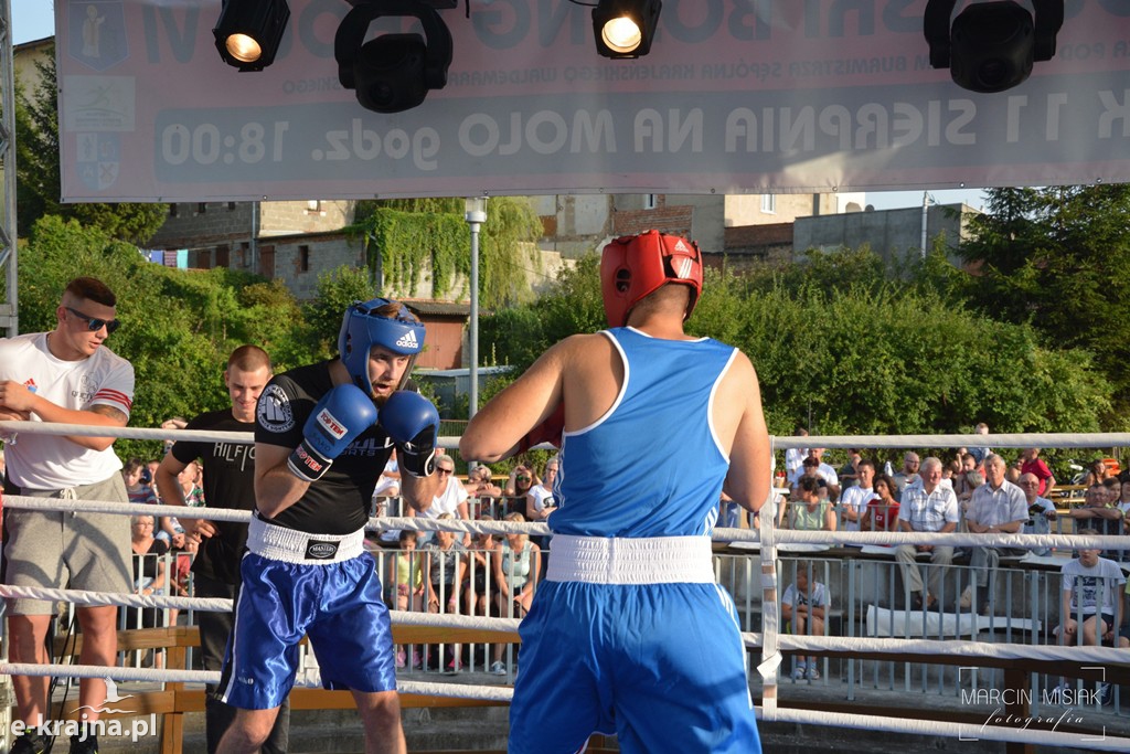 VI Sępoleński Boxing Show