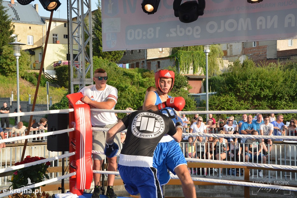 VI Sępoleński Boxing Show