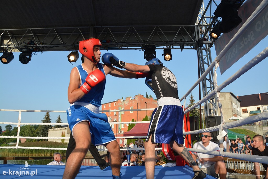 VI Sępoleński Boxing Show