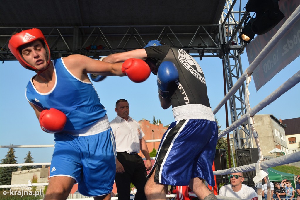 VI Sępoleński Boxing Show