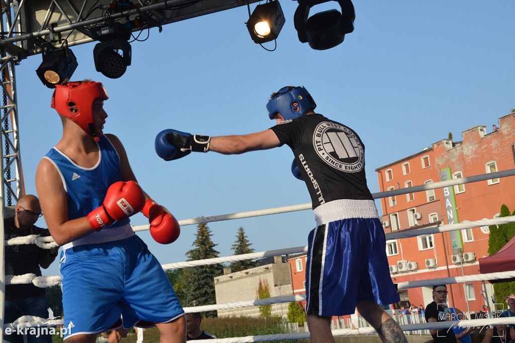 VI Sępoleński Boxing Show