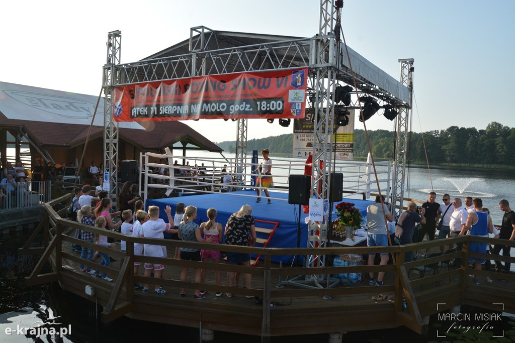 VI Sępoleński Boxing Show