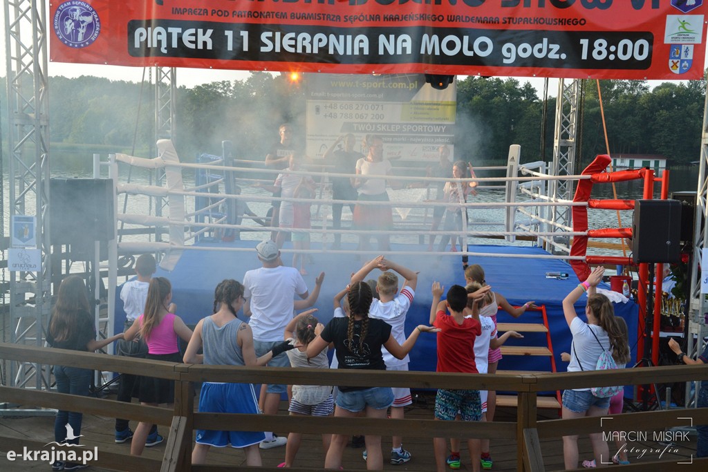 VI Sępoleński Boxing Show