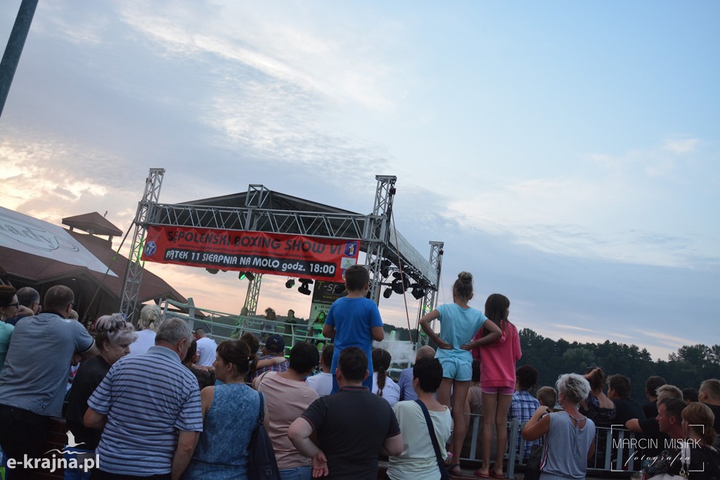 VI Sępoleński Boxing Show