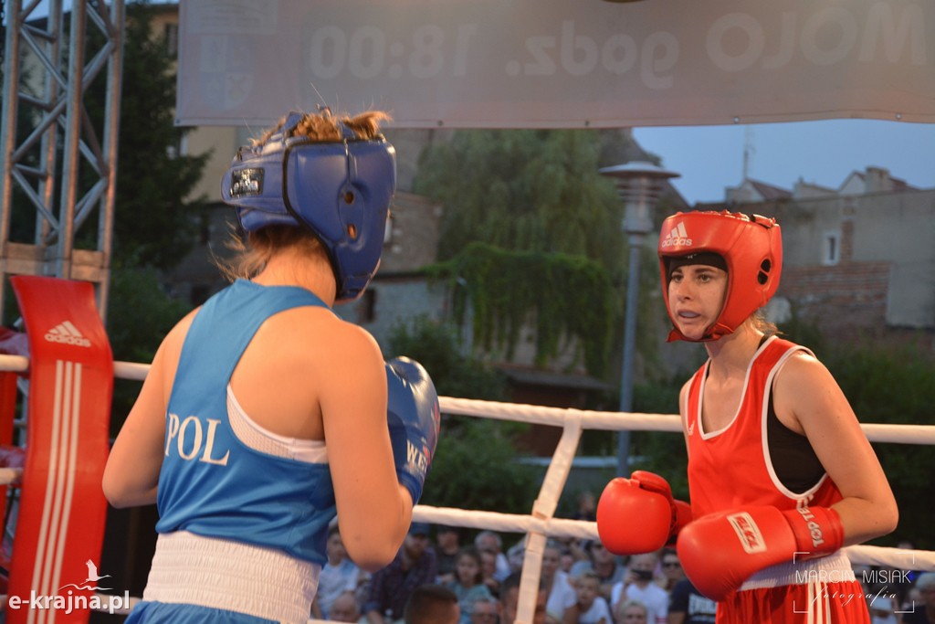 VI Sępoleński Boxing Show