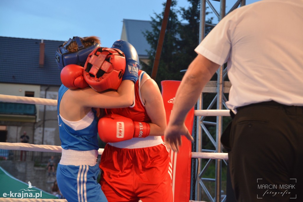 VI Sępoleński Boxing Show