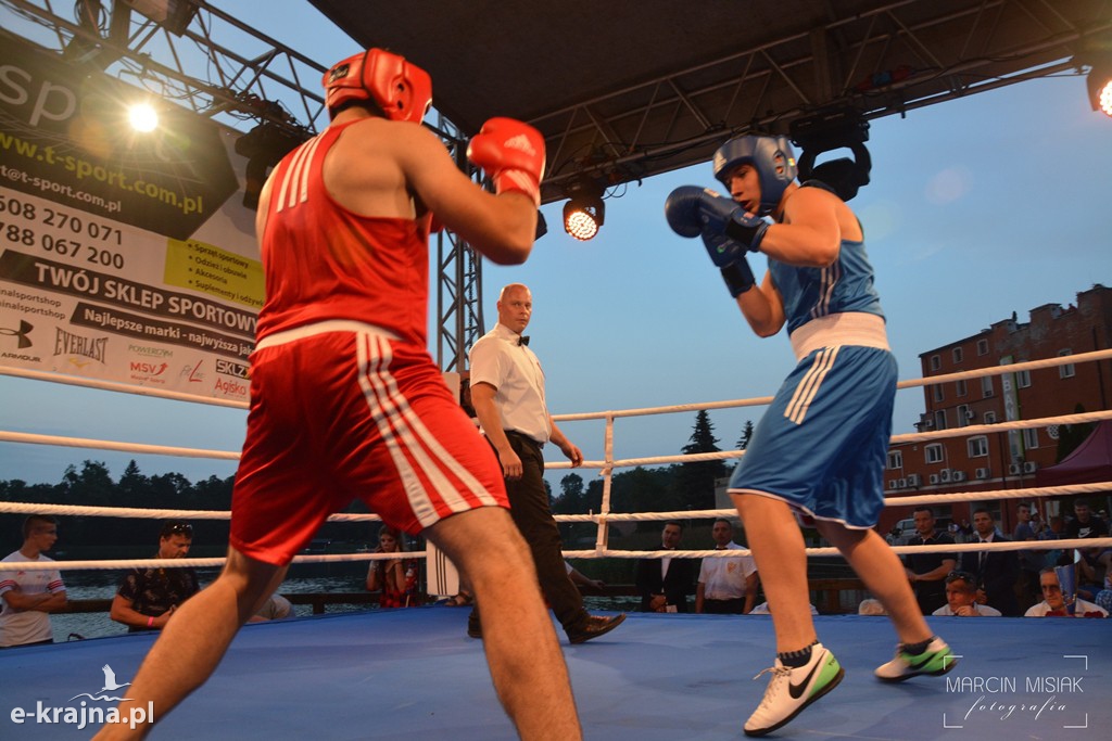 VI Sępoleński Boxing Show