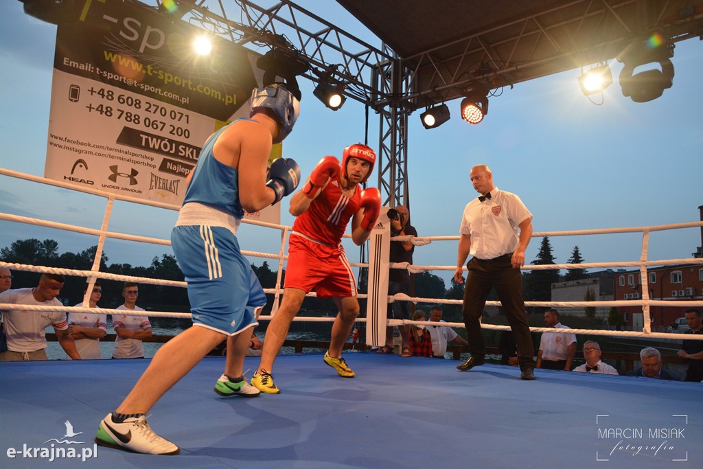 VI Sępoleński Boxing Show