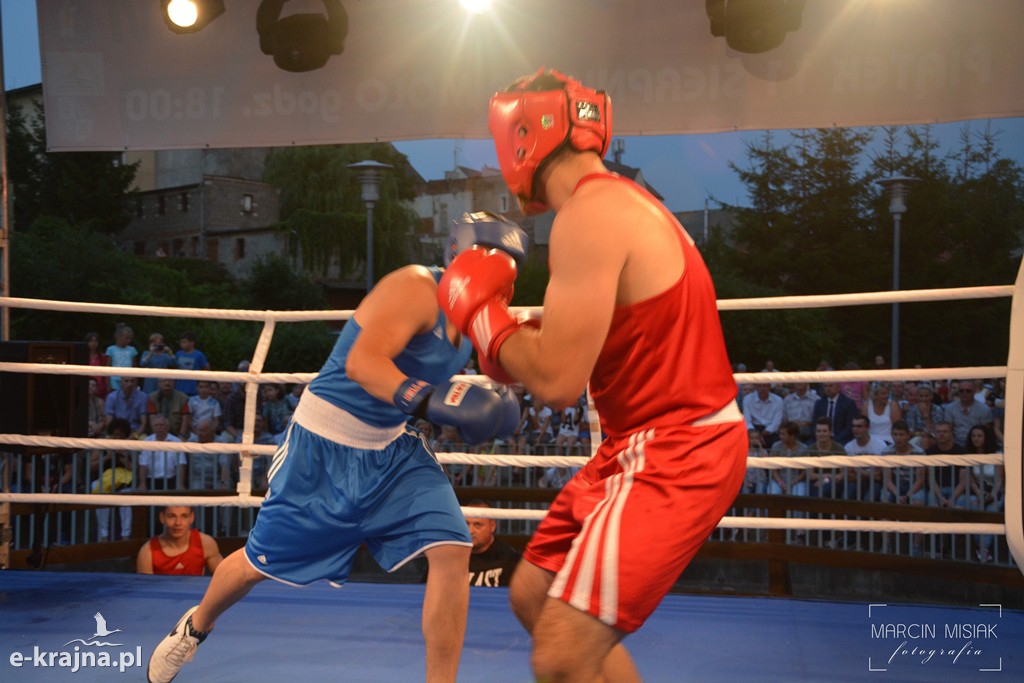 VI Sępoleński Boxing Show