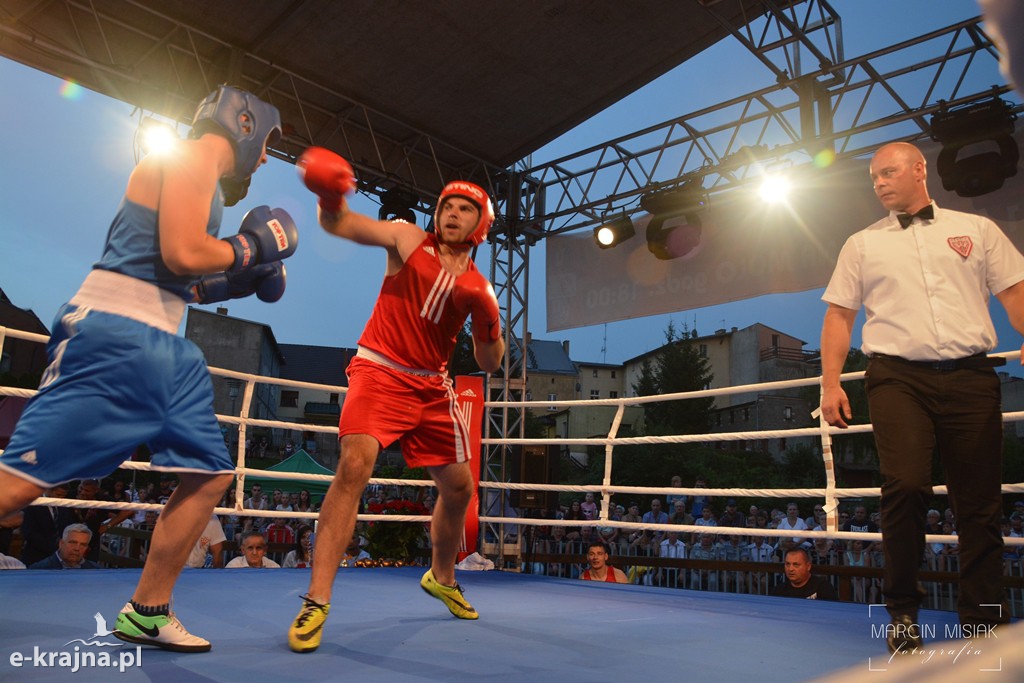 VI Sępoleński Boxing Show