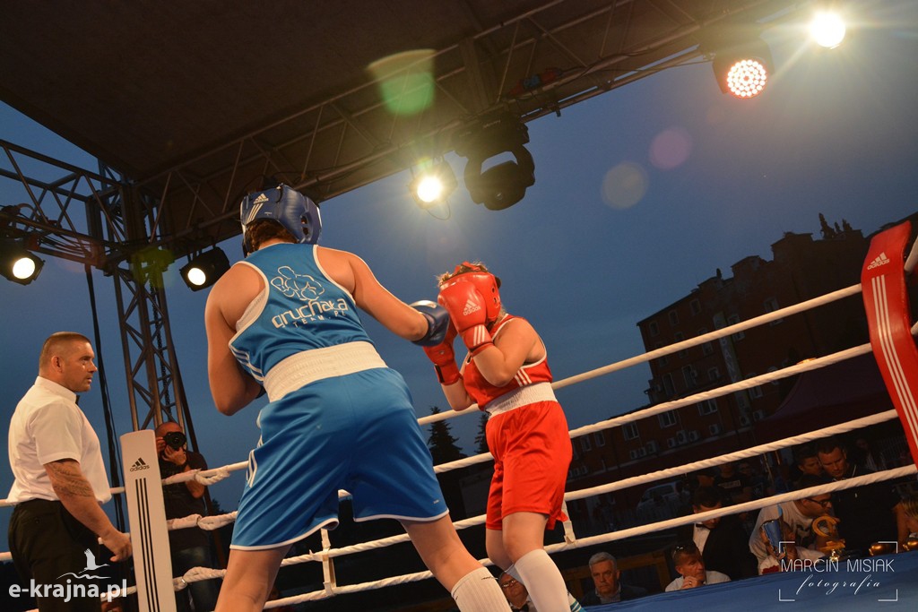 VI Sępoleński Boxing Show