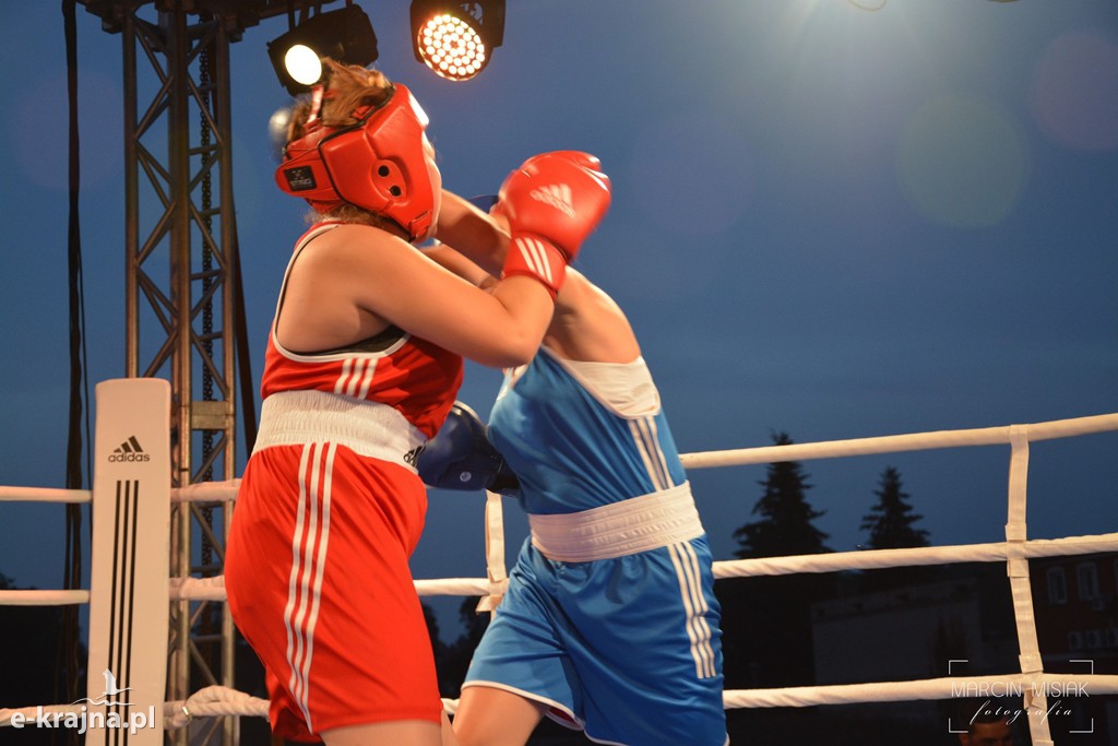 VI Sępoleński Boxing Show