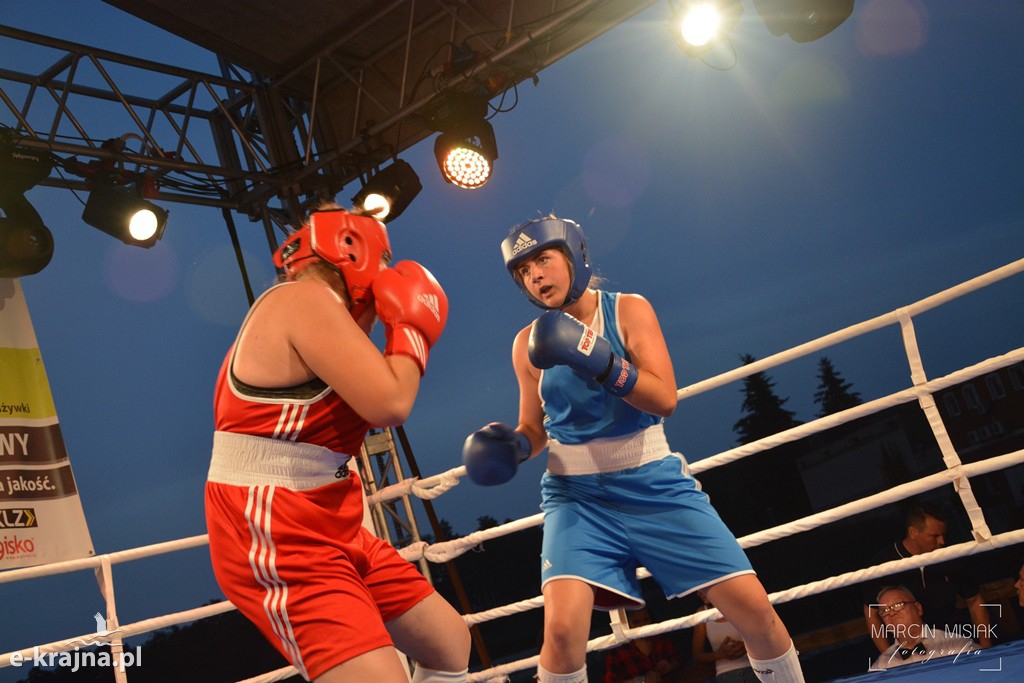 VI Sępoleński Boxing Show