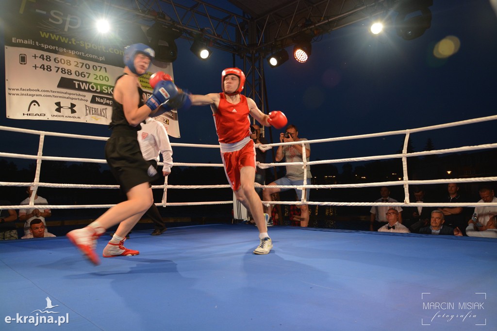 VI Sępoleński Boxing Show