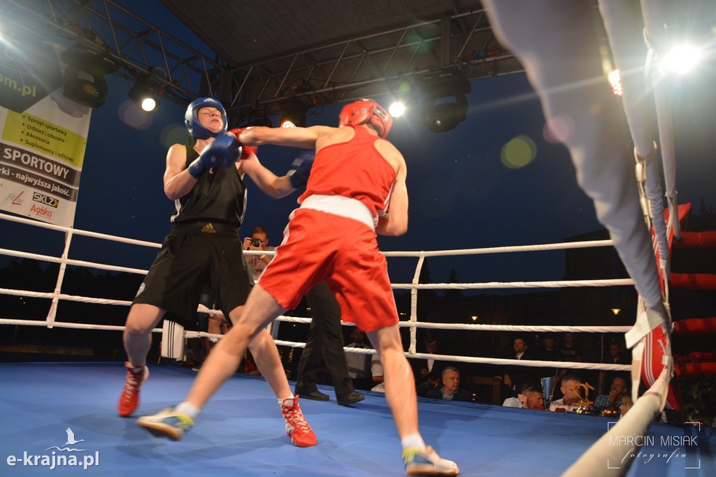 VI Sępoleński Boxing Show