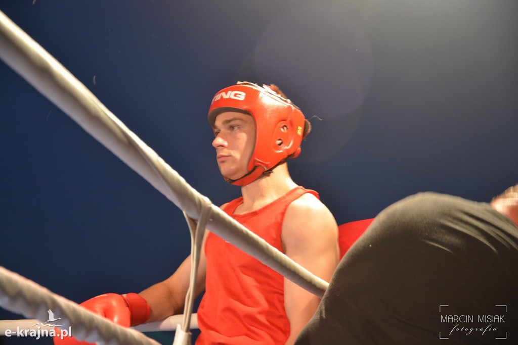 VI Sępoleński Boxing Show