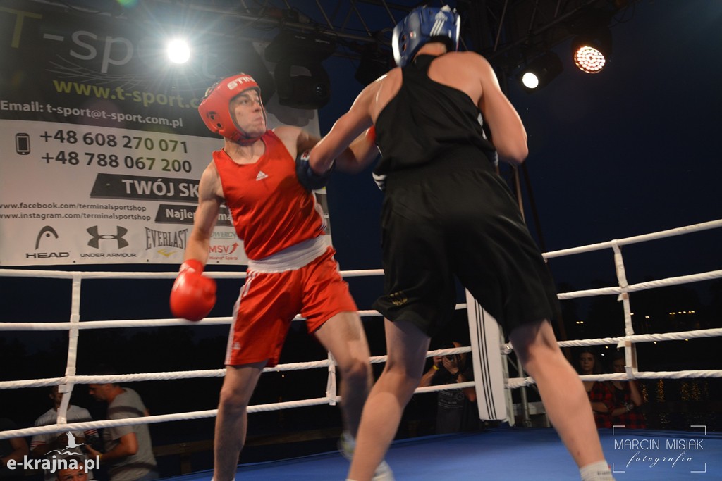 VI Sępoleński Boxing Show