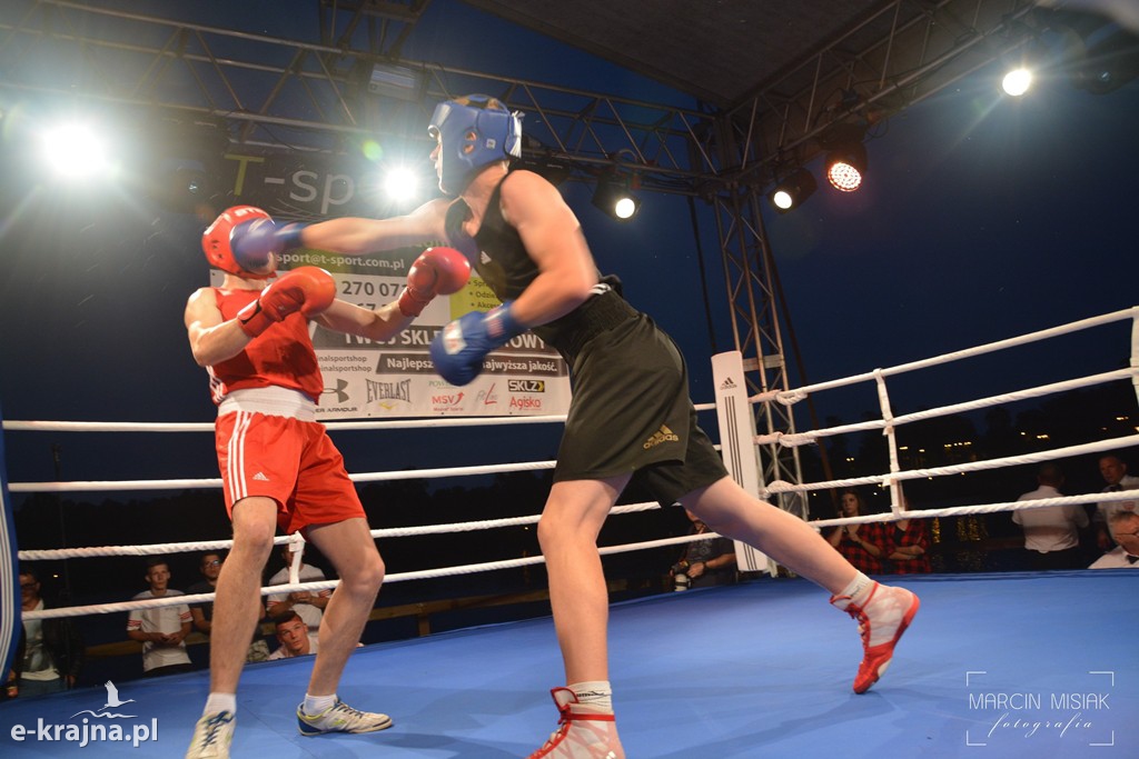 VI Sępoleński Boxing Show