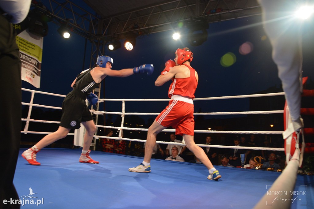 VI Sępoleński Boxing Show