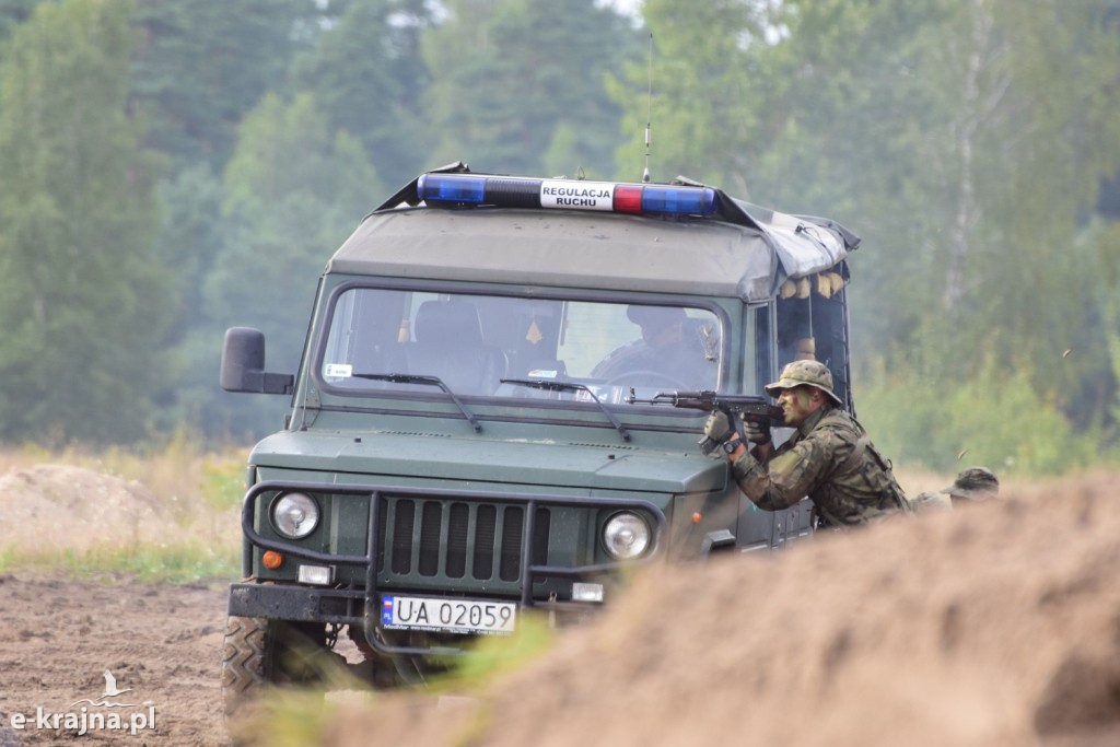 Gąsienice i podkowy w Bornym Sulinowie