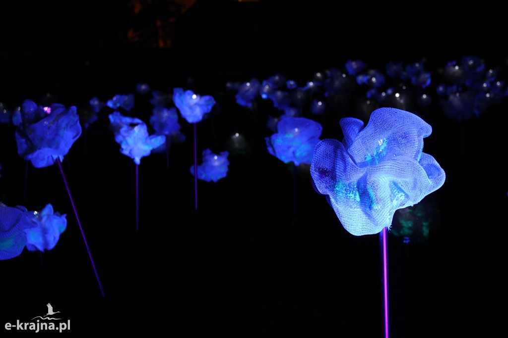9 Bella Skyway Festival