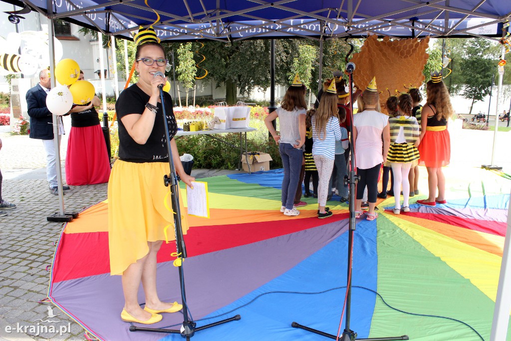 Półkolonie letnie z pożytecznymi owadami w tle