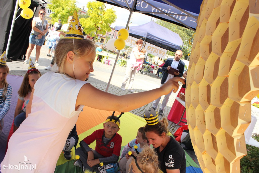 Półkolonie letnie z pożytecznymi owadami w tle