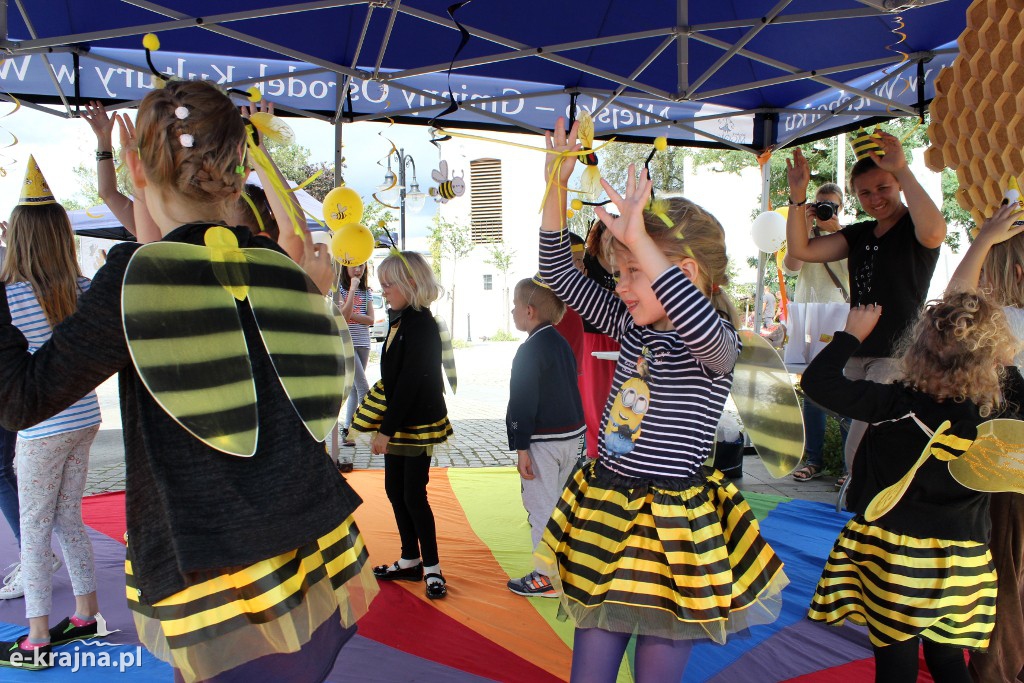 Półkolonie letnie z pożytecznymi owadami w tle
