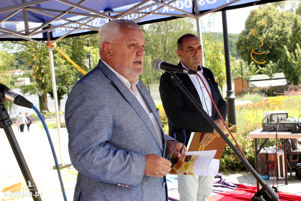 Półkolonie letnie z pożytecznymi owadami w tle