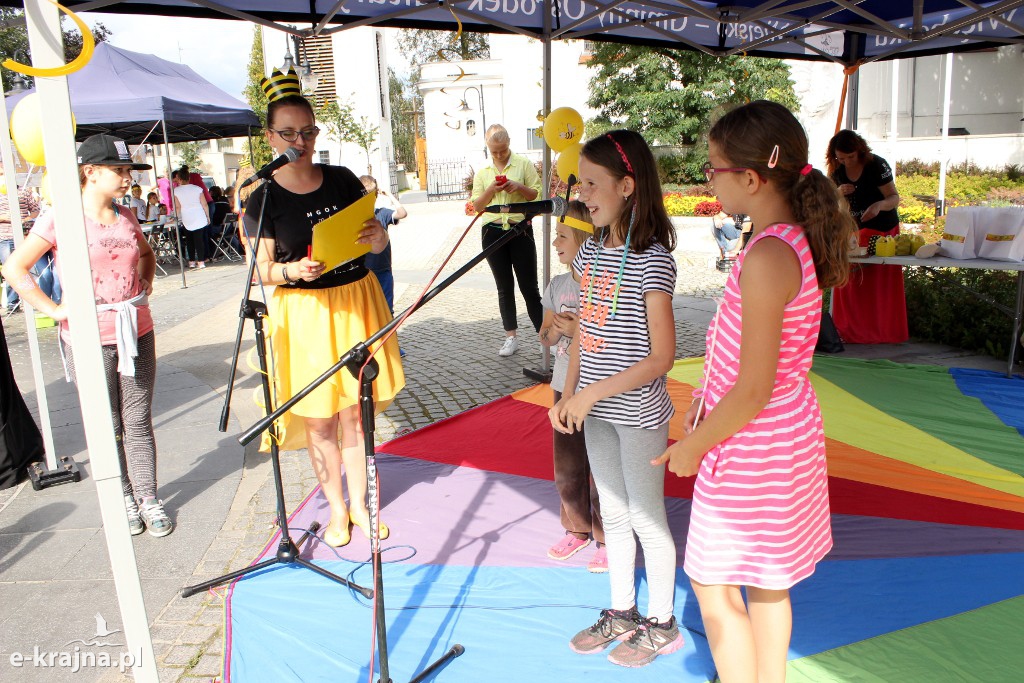 Półkolonie letnie z pożytecznymi owadami w tle