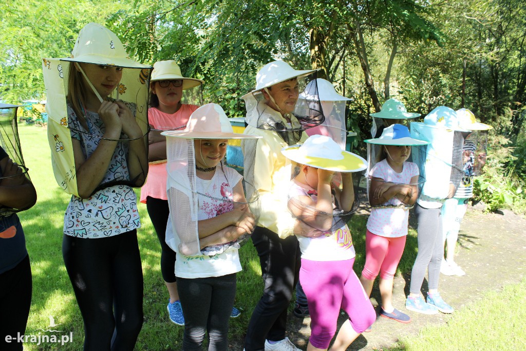 Półkolonie letnie z pożytecznymi owadami w tle