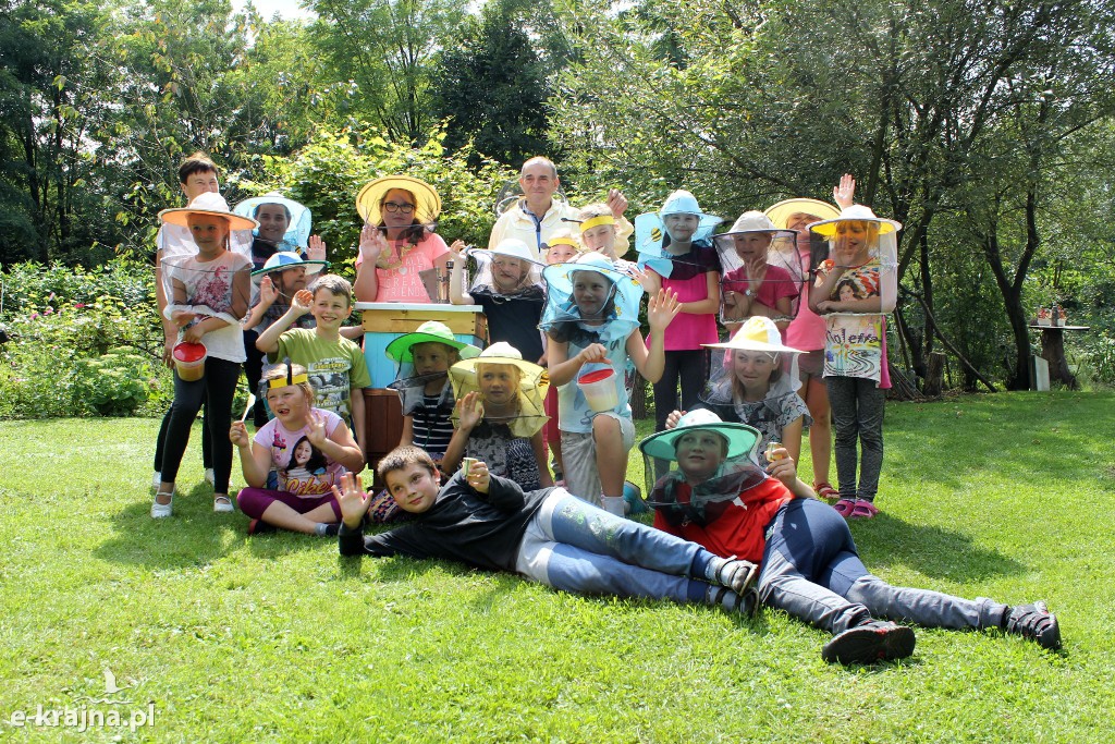 Półkolonie letnie z pożytecznymi owadami w tle