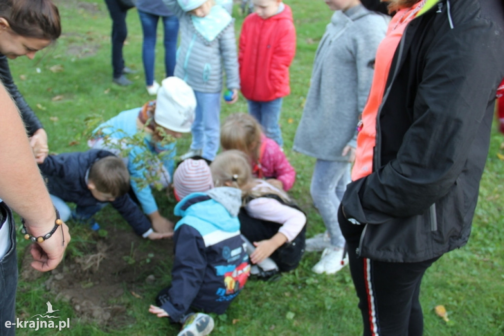 Uczą króla dzieci segregacji śmieci