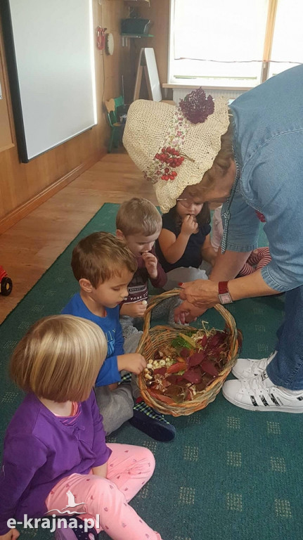 Obchody Światowego Dnia Drzew w 