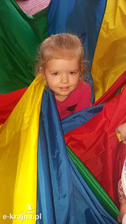 Obchody Światowego Dnia Drzew w 